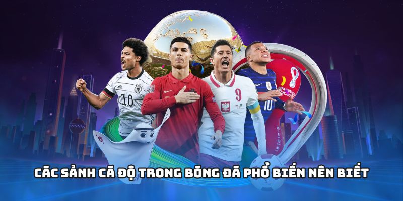 Các sảnh cá độ trong bóng đá phổ biến nên biết