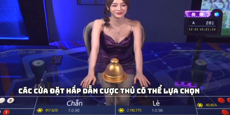 Xóc Đĩa - Game Nhanh Dễ Trúng Lớn Mỗi Ngày 1 Các cửa đặt hấp dẫn cược thủ có thể lựa chọn