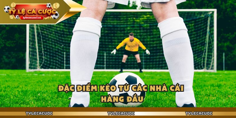 Ty Le Ca Cuoc – Chênh Lệch Nhỏ Nhưng Cho Lợi Nhuận Lớn 2 Đặc điểm kèo từ các nhà cái hàng đầu
