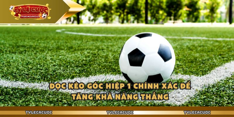 Ty Le Ca Cuoc - Kiểm Tra Biến Động Kèo Góc Hiệp 1 Trước Trận 2 Đọc kèo góc hiệp 1 chính xác để tăng khả năng thắng