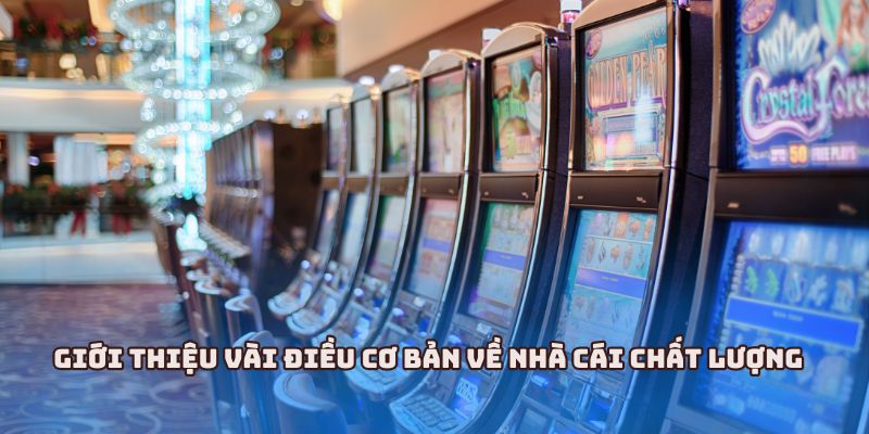 Hi88 - Khám Phá Tất Cả Những Tính Năng Nổi Bật Của Nhà Cái 1 Giới thiệu vài điều cơ bản về nhà cái chất lượng