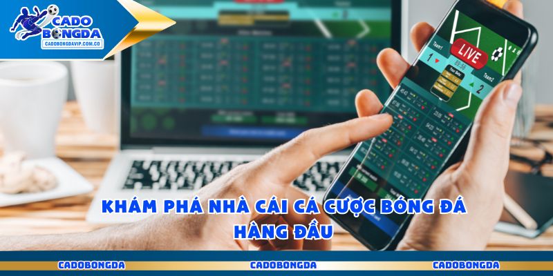 Trang Cá Độ Bóng Đá Uy Tín Mở Lối Chiến Thắng Vang Dội 3 Khám phá nhà cái cá cược bóng đá hàng đầu