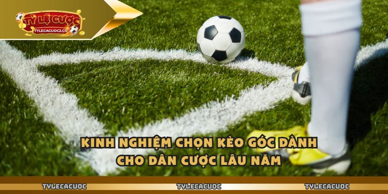 Ty Le Ca Cuoc - Kiểm Tra Biến Động Kèo Góc Hiệp 1 Trước Trận 3 Kinh nghiệm chọn kèo góc dành cho dân cược lâu năm