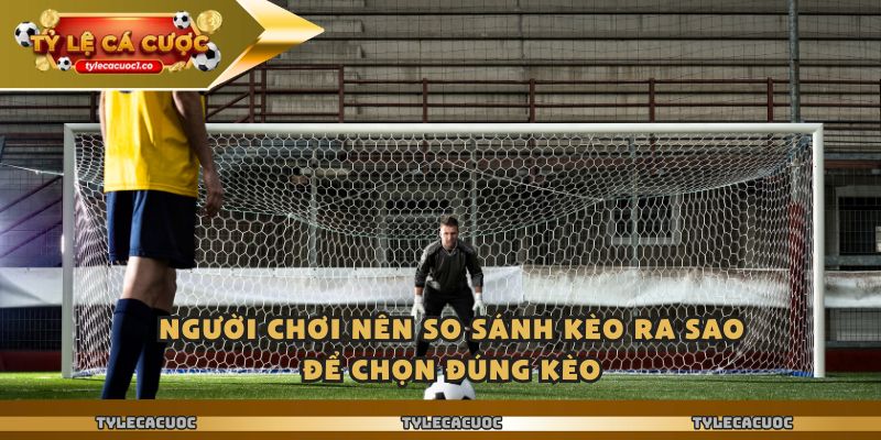 Ty Le Ca Cuoc – Chênh Lệch Nhỏ Nhưng Cho Lợi Nhuận Lớn 1 Người chơi nên so sánh ty le ca cuoc ra sao để chọn đúng