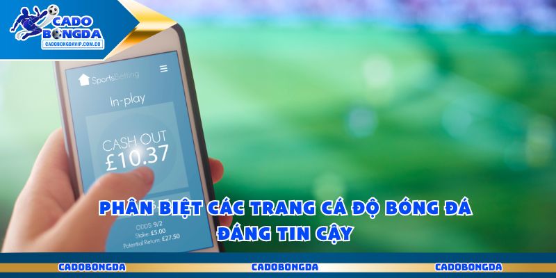 Trang Cá Độ Bóng Đá Uy Tín Mở Lối Chiến Thắng Vang Dội 2 Phân biệt các trang cá độ bóng đá đáng tin cậy