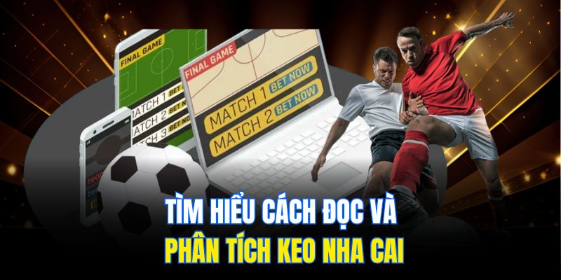 Tìm hiểu Keo nha cai – Hiểu đúng, chọn chuẩn, thắng dễ 3 Tìm hiểu cách đọc và phân tích keo nha cai