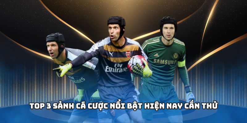 Top 3 sảnh cá cược nổi bật hiện nay cần thử