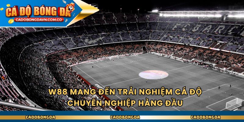 Trang Cá Độ Bóng Đá Có Dịch Vụ Hỗ Trợ Cực Kỳ Uy Tín 3 W88 mang đến trải nghiệm cá độ chuyên nghiệp hàng đầu