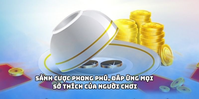 Xóc Đĩa - Sân Chơi Giải Trí Kịch Tính Và Chuyên Nghiệp 2 Sảnh cược phong phú, đáp ứng mọi sở thích của người chơi